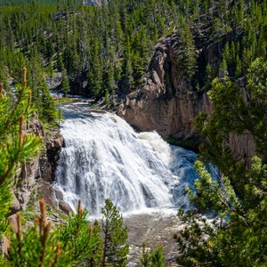 a waterfall in a forest