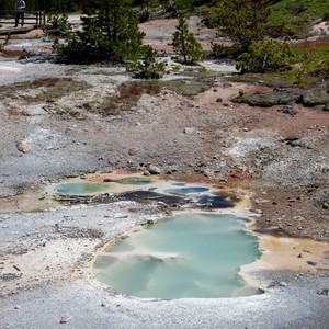 a small pool of water