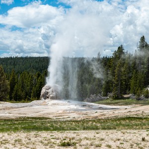 a large geyser in a forest with Old Faithful in the background