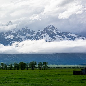 a field with trees and mountains in the background