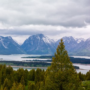 a landscape with trees and mountains in the back