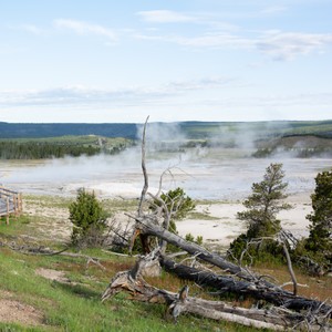 a body of water with trees and grass around it