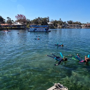 a group of people swimming in a body of water