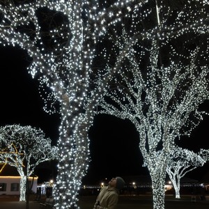 a person sitting in front of a fountain with trees around it